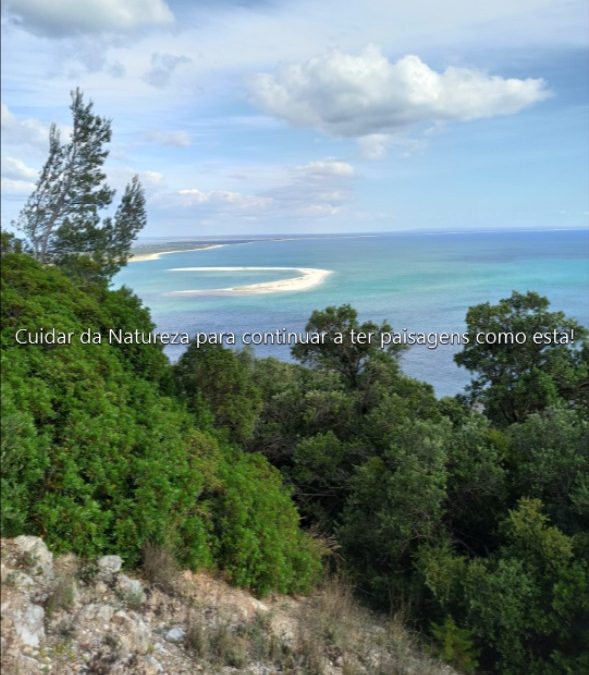 Ação 1: Beleza da Natureza
