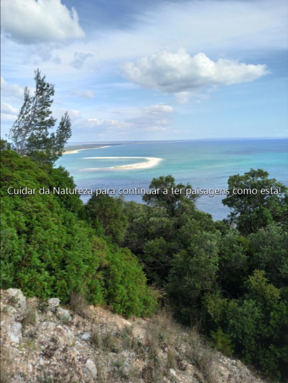 Ação 1: Beleza da Natureza