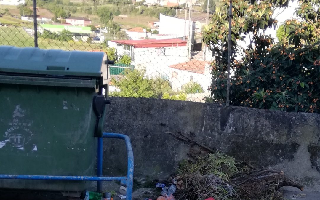 Ação 2: Aprender a partir da Natureza