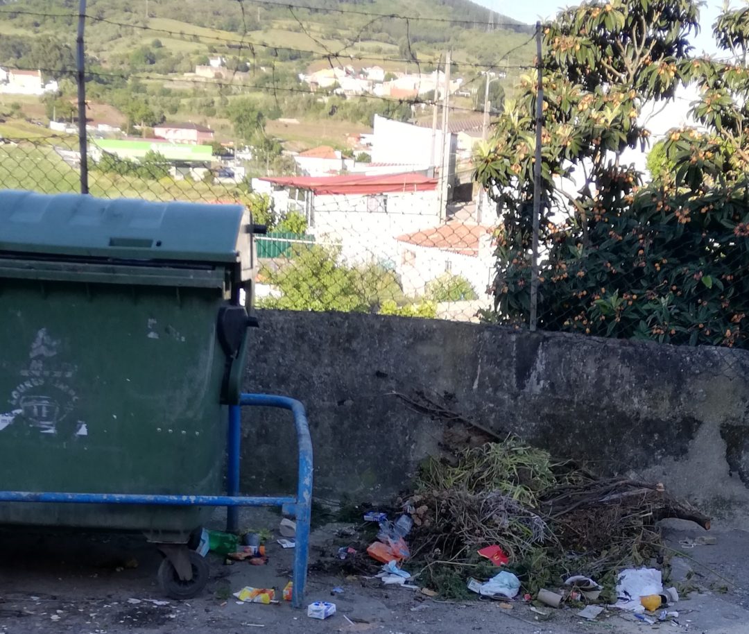 Ação 2: Aprender a partir da Natureza