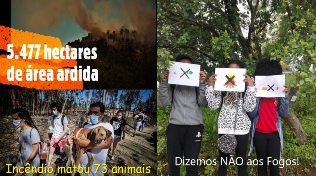 ECOCAMPANHA-INCÊNDIOS E DESFLORESTAÇÃO