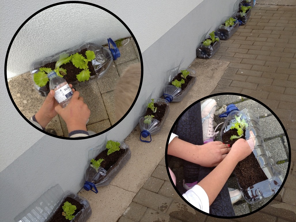 Horta biológica na Escola da Arega