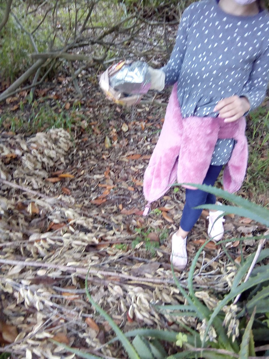 Celebra um ambiente limpo com um piquenique de recolha de lixo