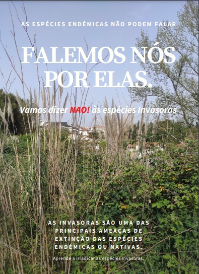 Espécie Invasora- Erva das Pampas (Cortaderia selloana)