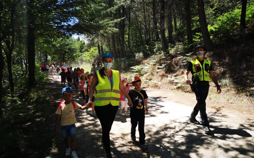 Caminhada pelo ambiente