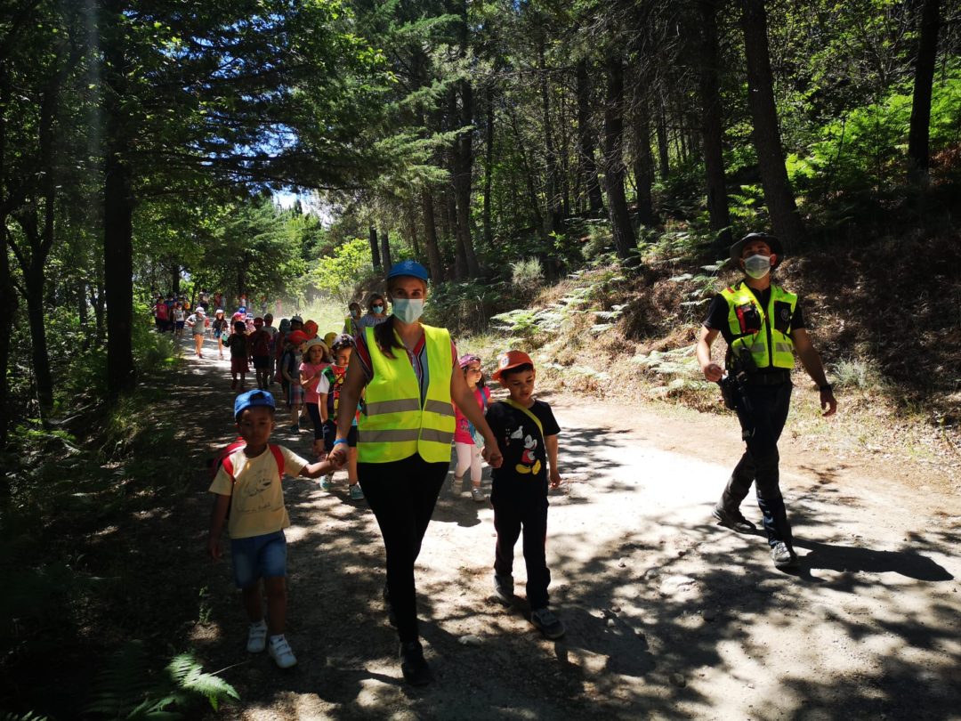 Caminhada pelo ambiente