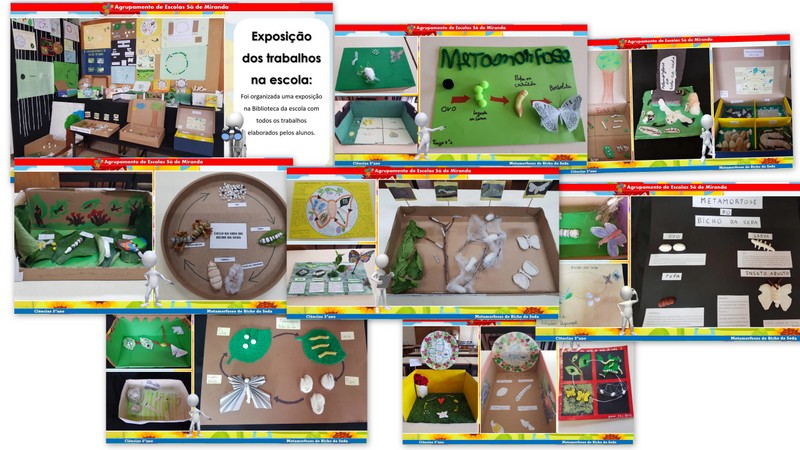 Escola de Palmeira tem Bichos-da-Seda