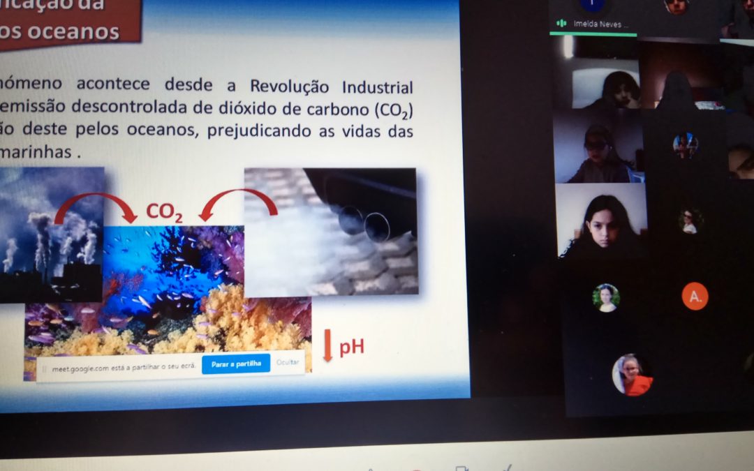 Formar também é necessário!