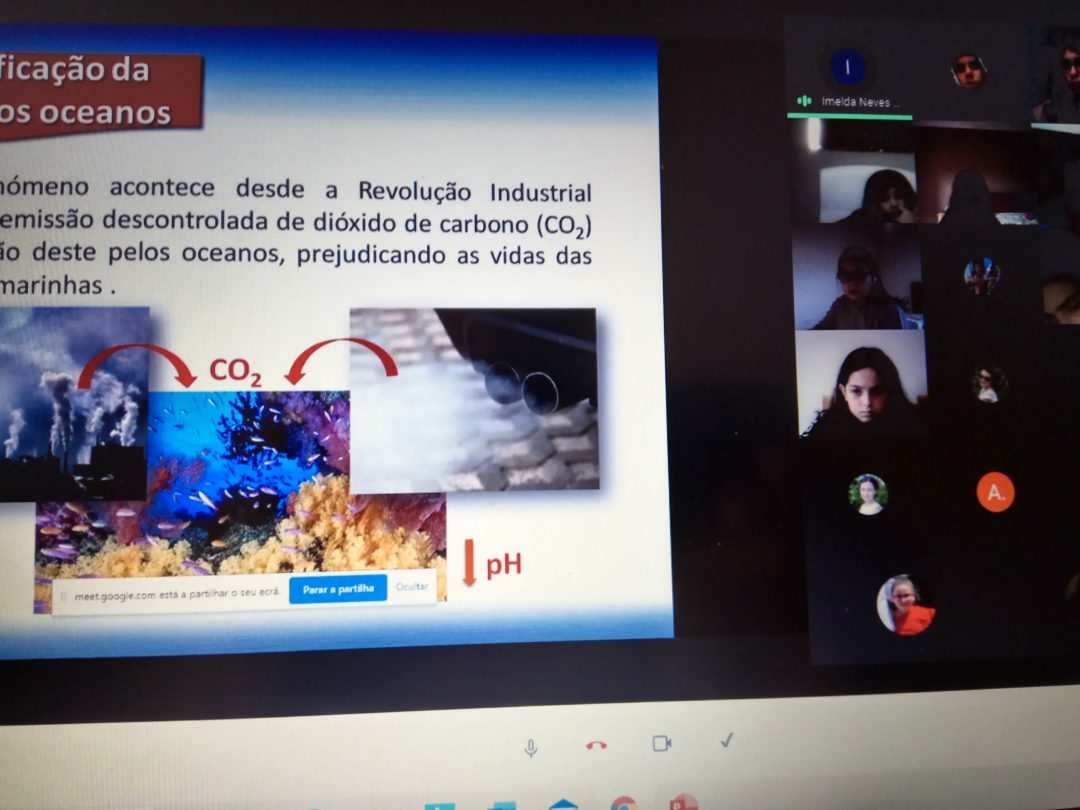 Formar também é necessário!