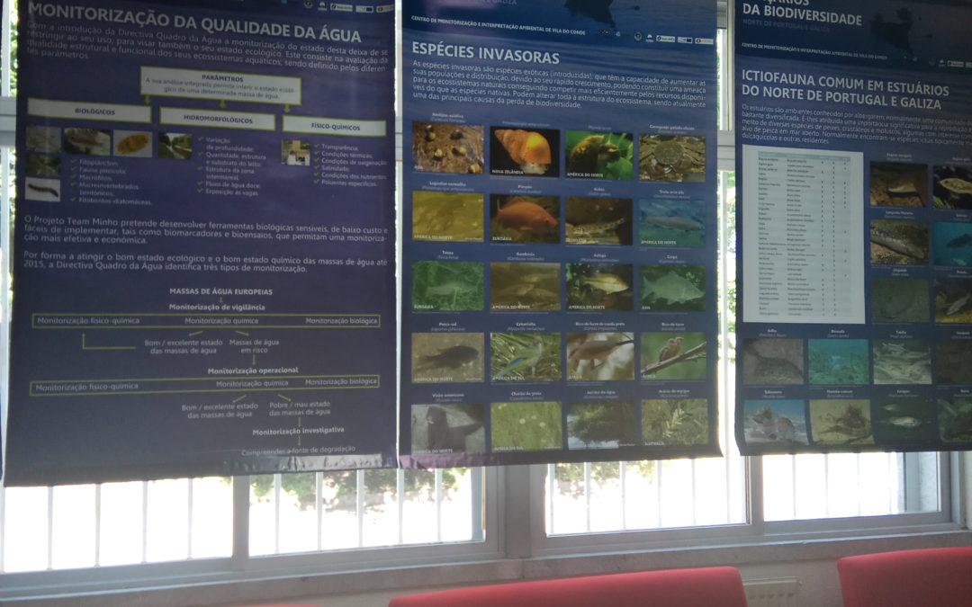 Exposições na Biblioteca