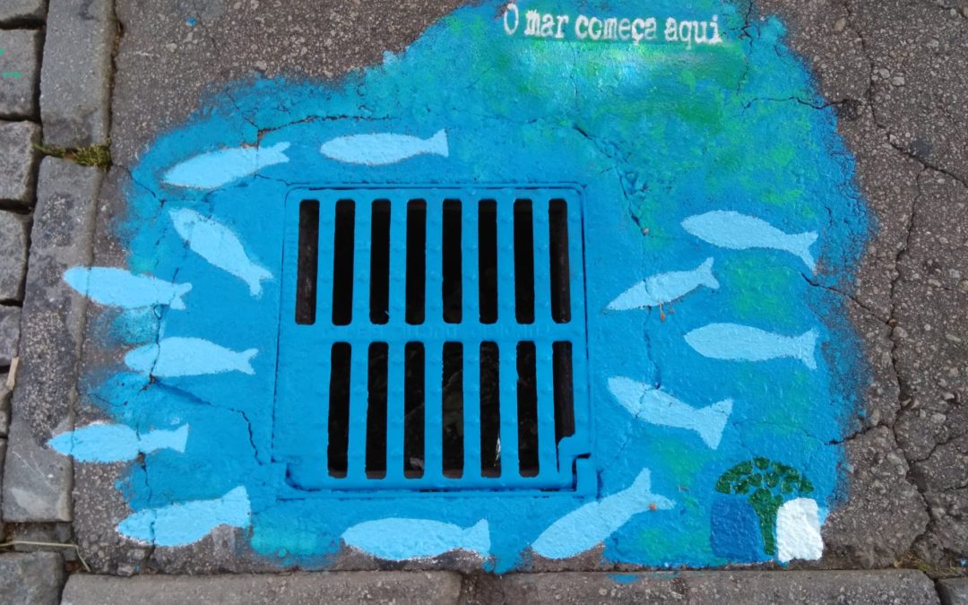 SEMANA ECO E DIA MUNDIAL DOS OCEANOS (8 JUNHO) – “O MAR COMEÇA AQUI”