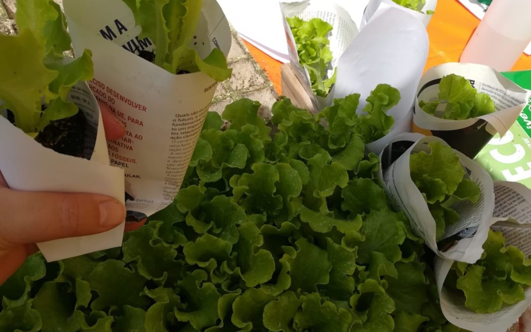 Plantar para mais tarde colher