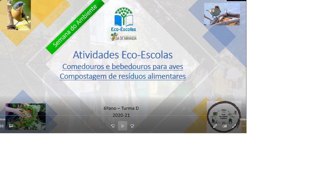 Semana do Ambiente: Comedouros e bebedouros de aves na Escola