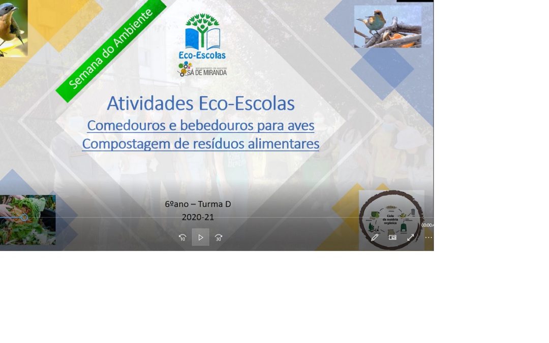 Semana do Ambiente: Comedouros e bebedouros de aves na Escola