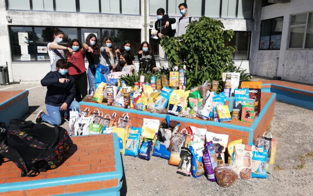 Campanha Bem-Estar Animal /Ajudar faz bem