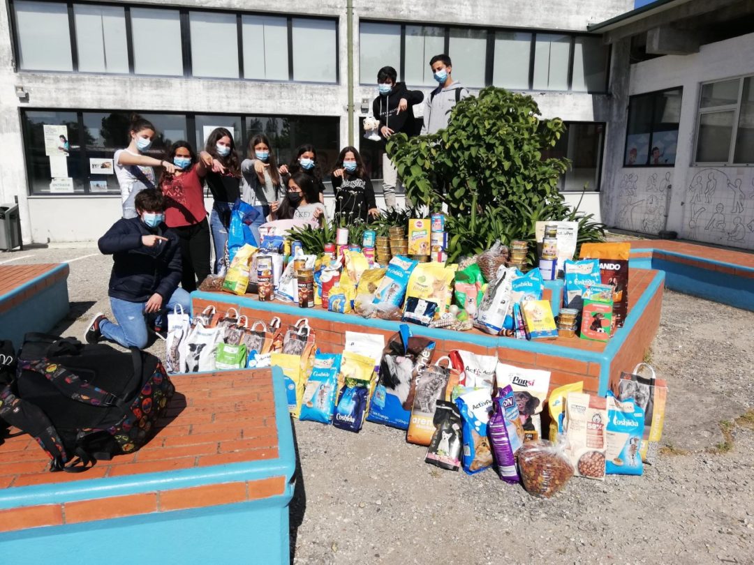 Campanha Bem-Estar Animal /Ajudar faz bem