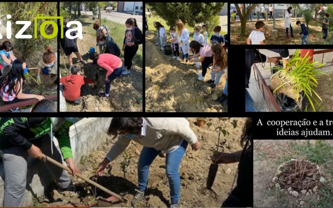 “Minha Escola Minha Floresta”