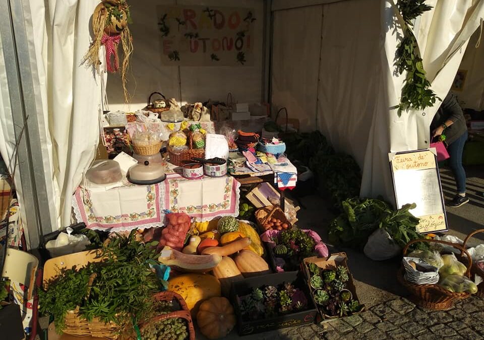 Dia da Alimentação com Feira de Outono na EB do Prado