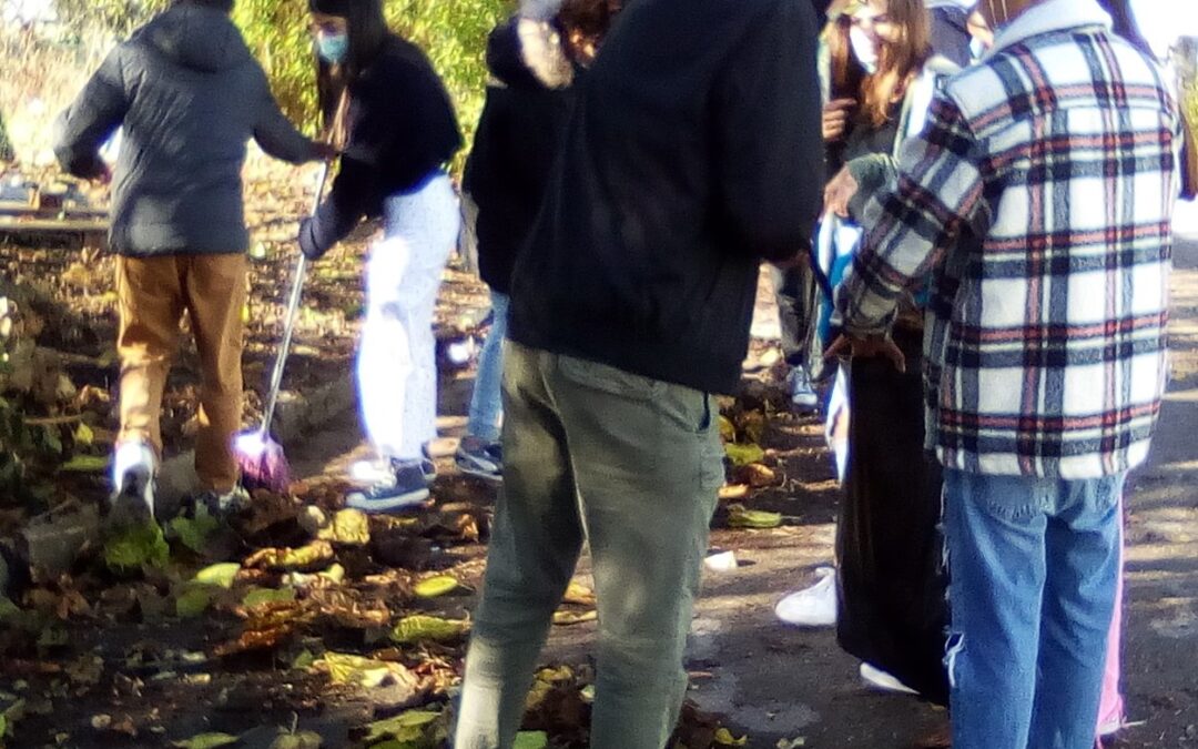 ESCOLA SECUNDÁRIA MANUEL CARGALEIRO: Recolha de resíduos vegetais para compostagem