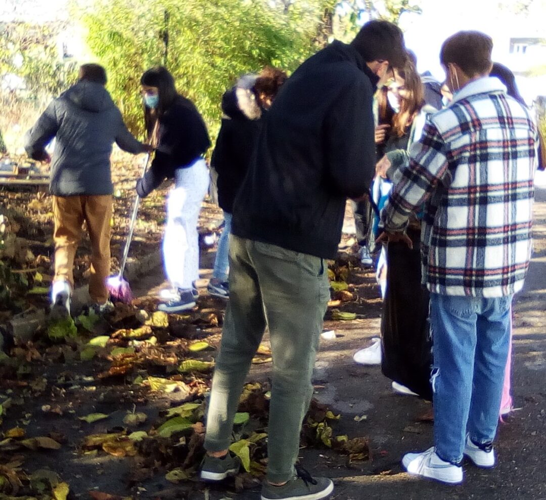ESCOLA SECUNDÁRIA MANUEL CARGALEIRO: Recolha de resíduos vegetais para compostagem
