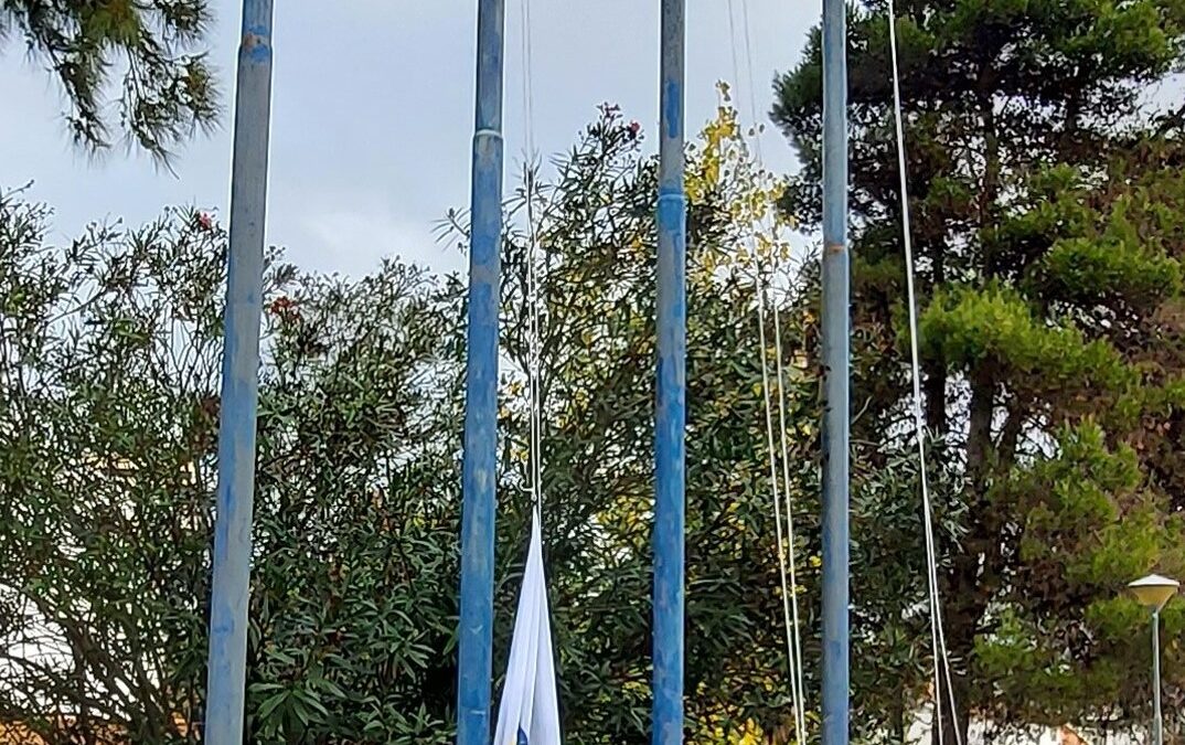 Comemoração do 36.º aniversário da Escola Secundária Manuel Cargaleiro: hastear da bandeira verde