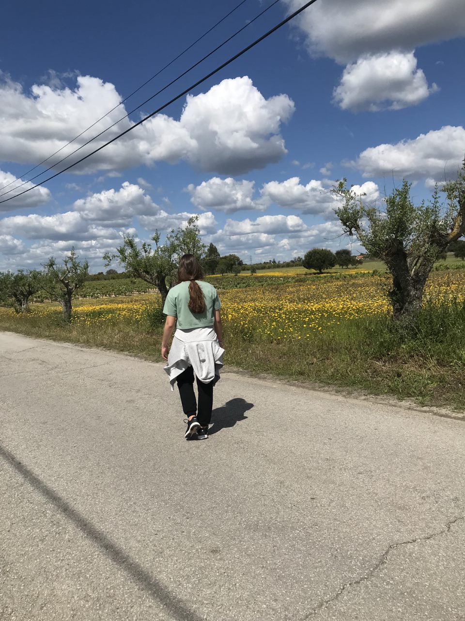 10-Matilde Pereira-8ºB