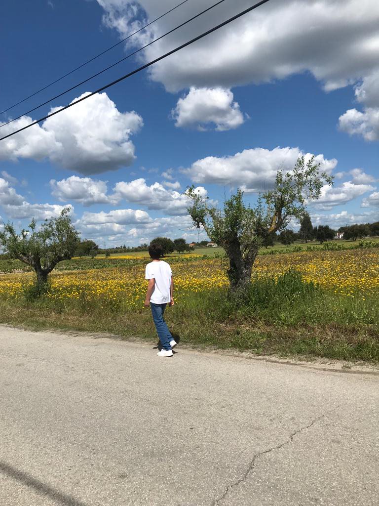 11- Pedro Passos - 8ºB