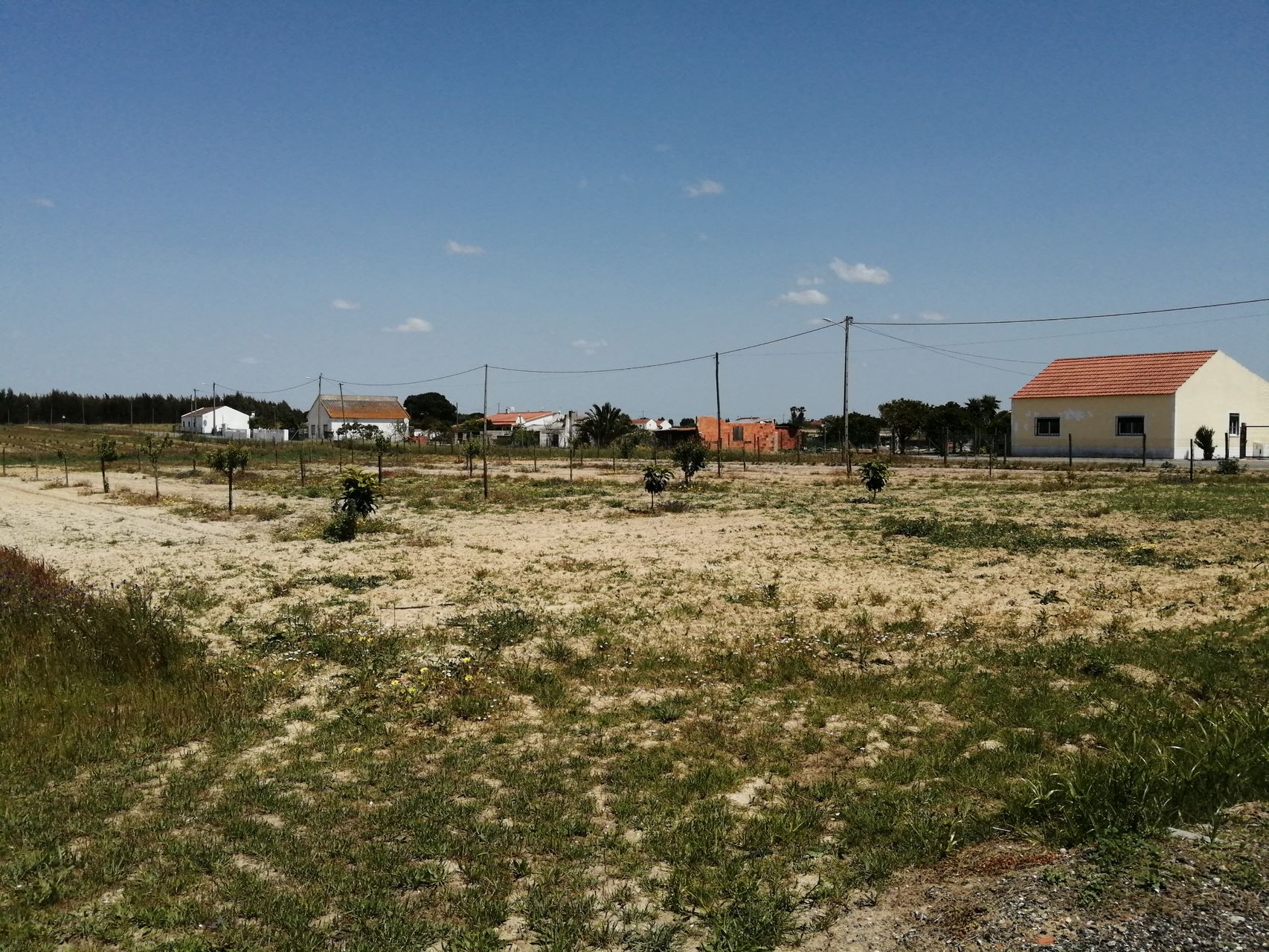 12-Gonçalo Valente- 8ºC