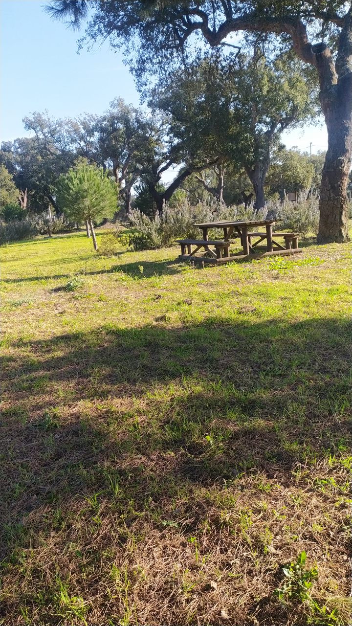 13-Tomás Russo- 8ºC