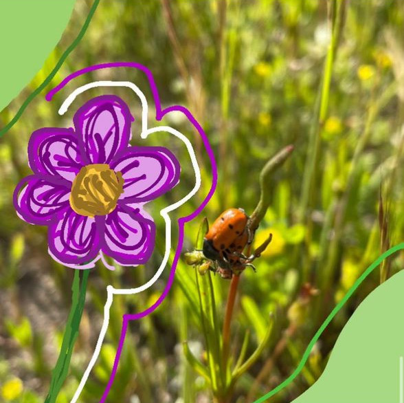 Ação “Mergulho na Natureza”