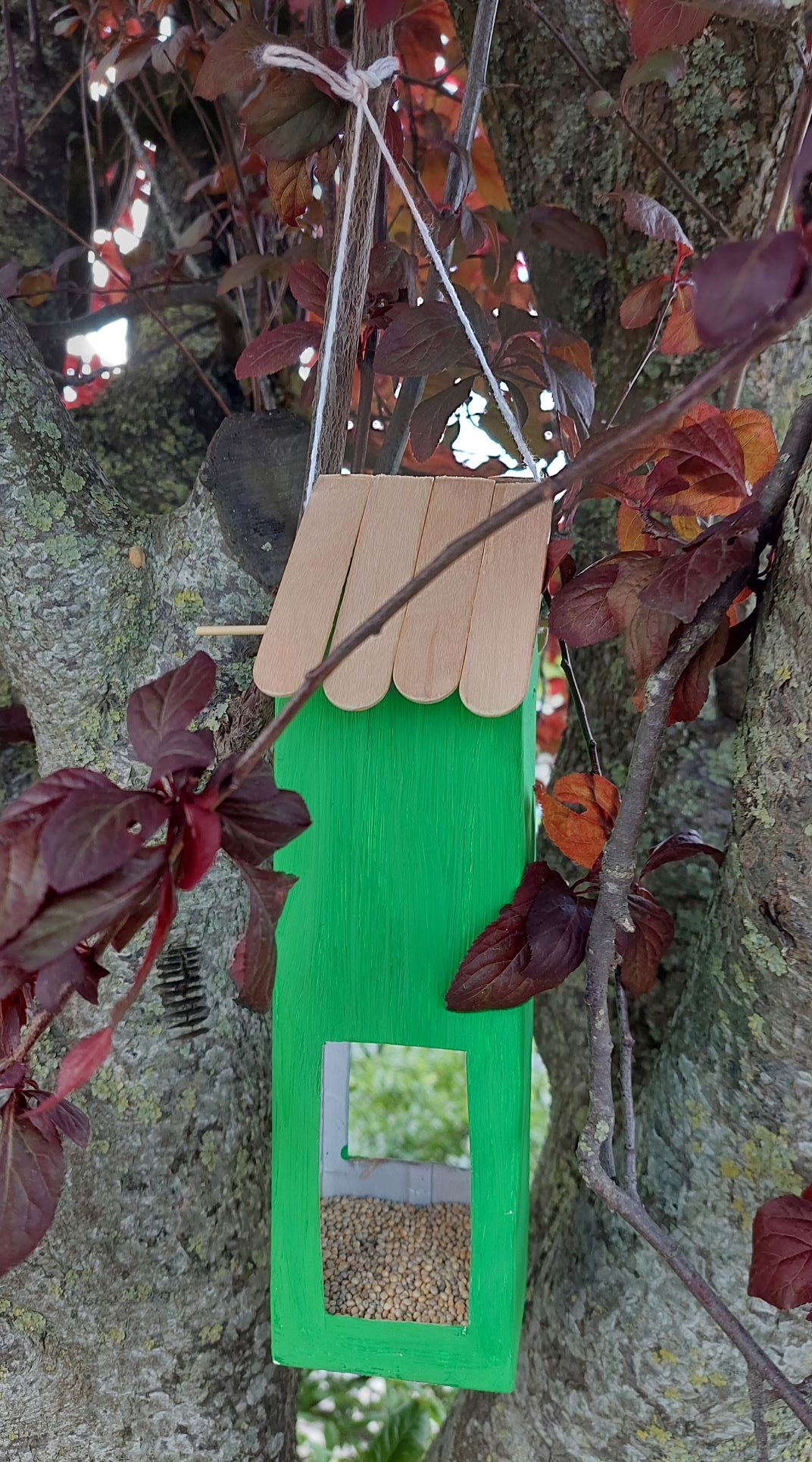 Construção de comedouros com materiais recicláveis