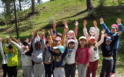 Atividade no Parque Botânico de Montanha