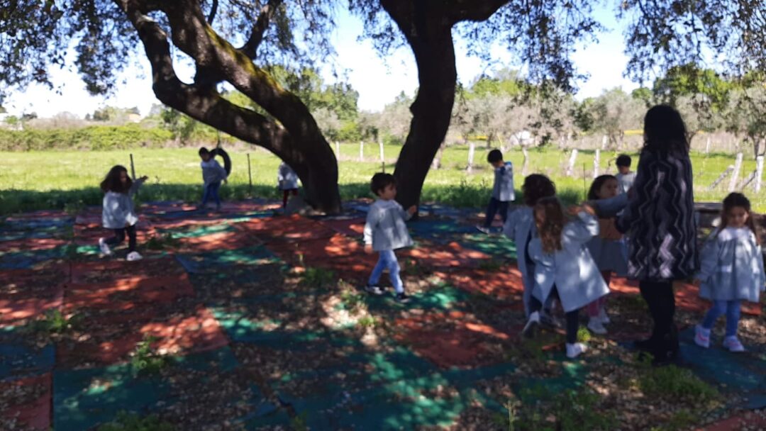 Action 1 – Nature Collage