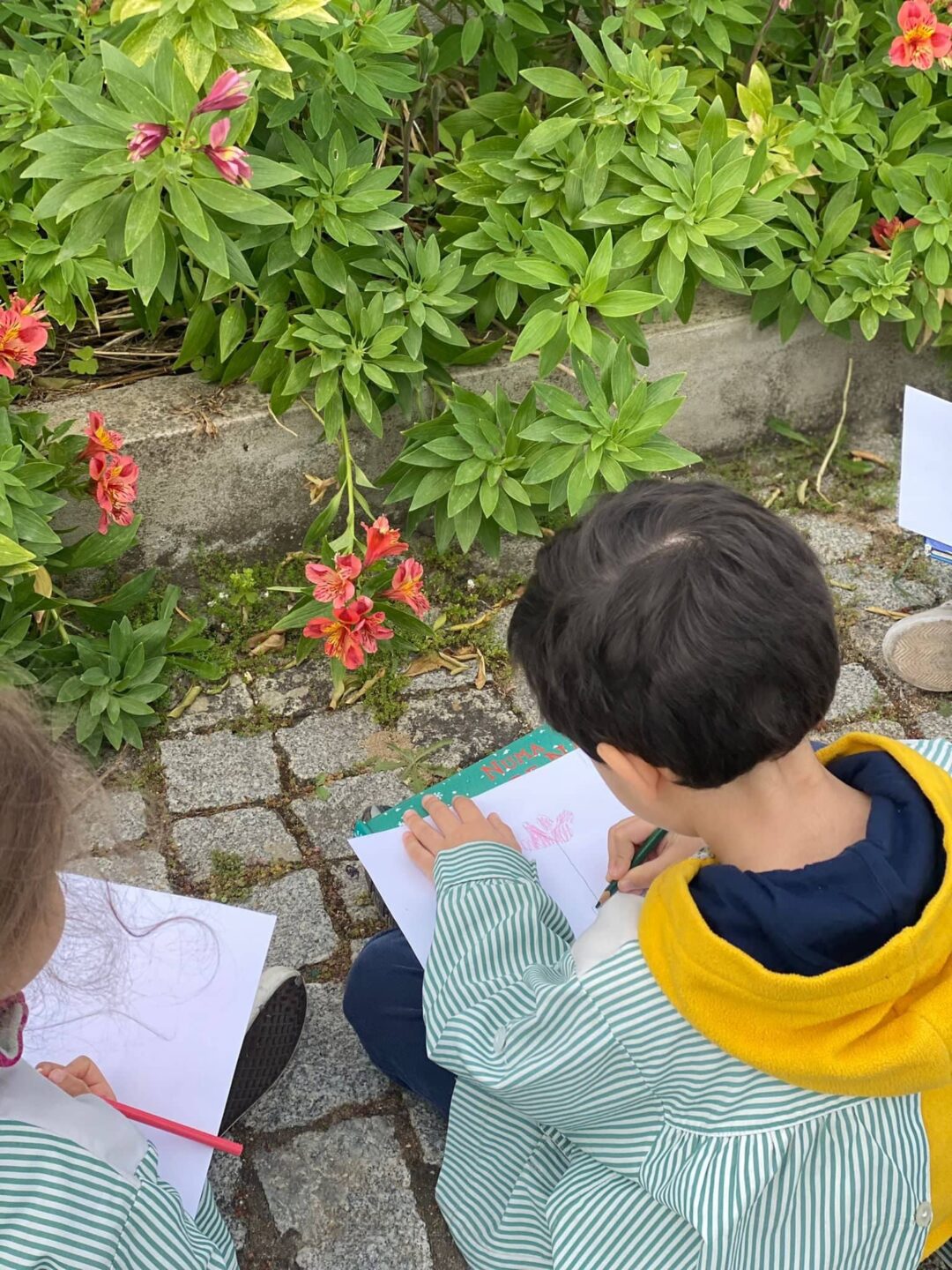 Action 2 -Detetives na Natureza