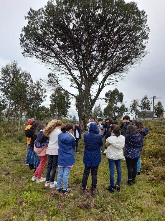 Mergulho na Natureza