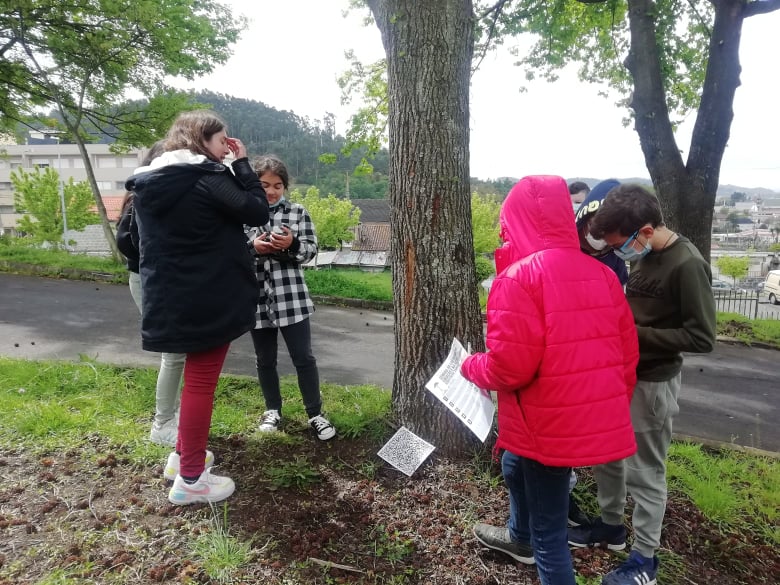 Mergulho na natureza: Peddy-Paper