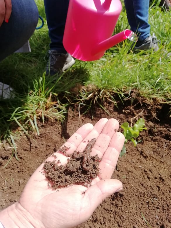 Plantação da Azinheira: Semana da Liberdade no Coração e na Ação