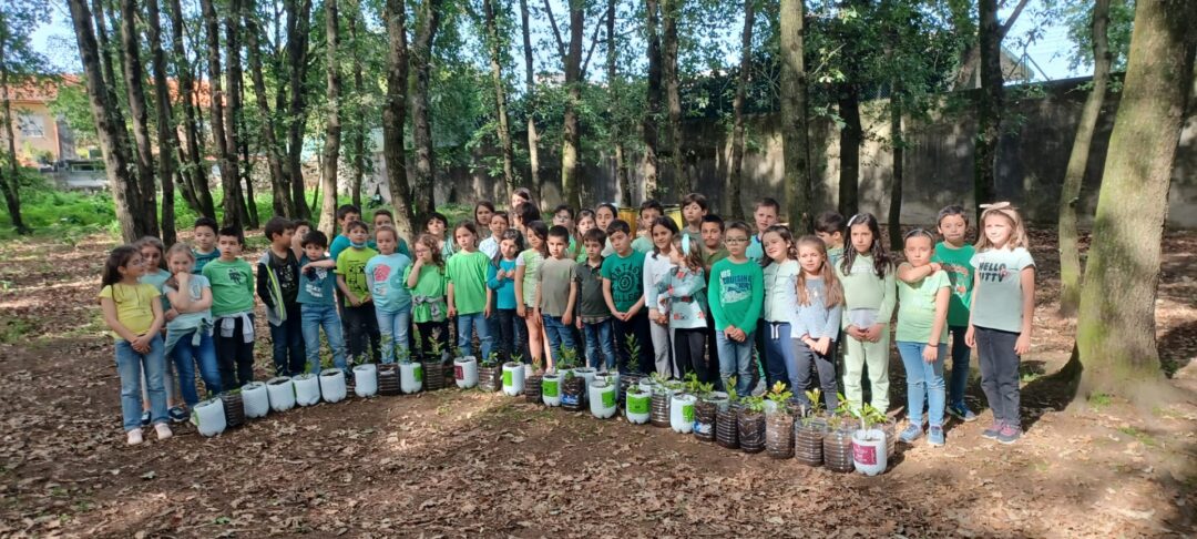 Fazer uma festa verde na quinta pedagógica