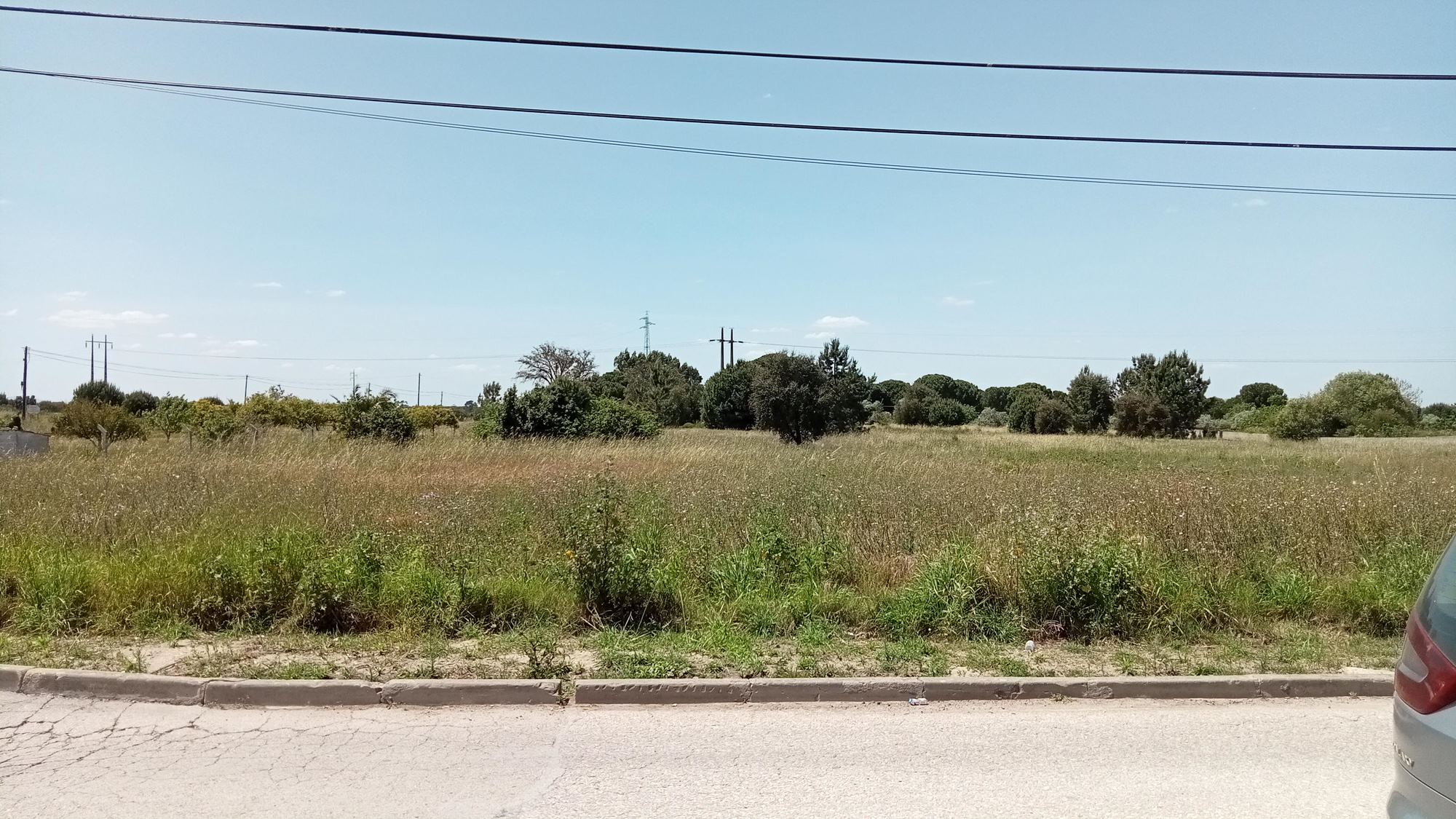 3- Francisco Martins-8ºB