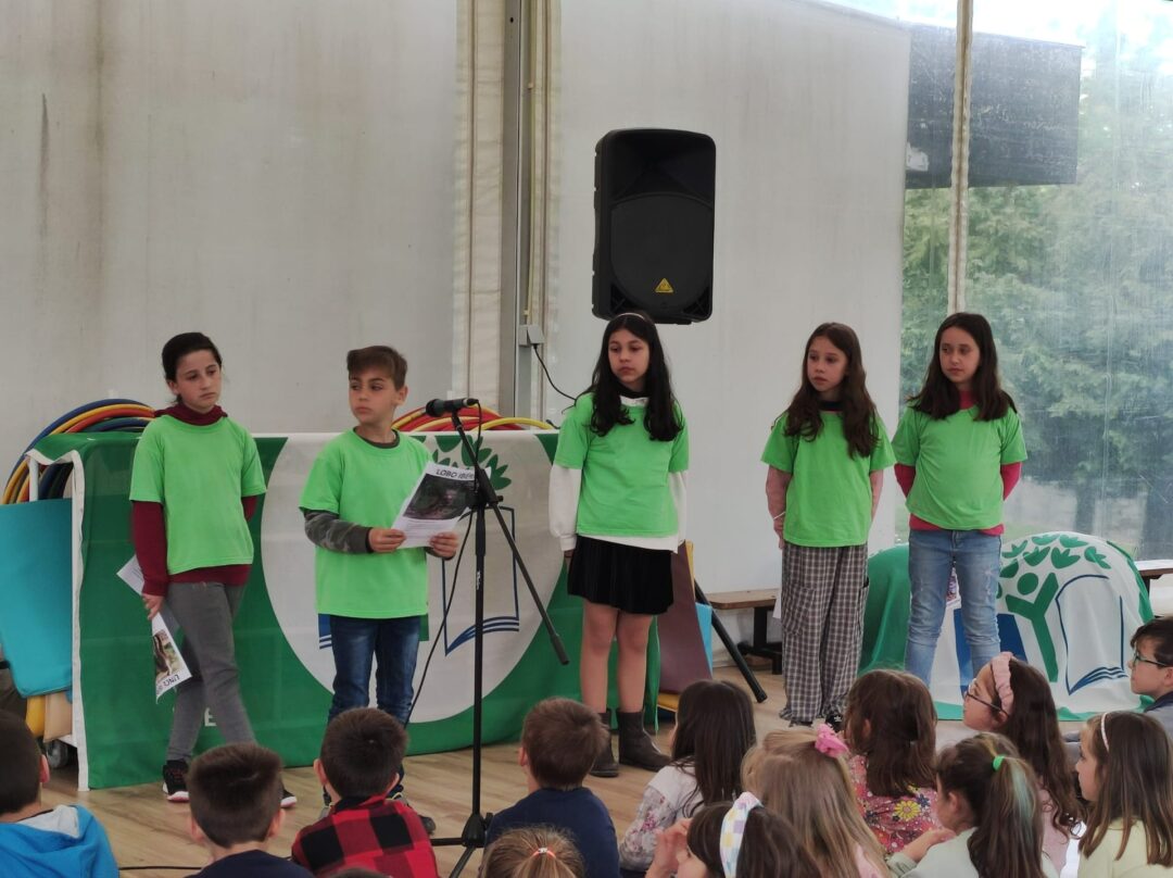 vida em perigo/ ação de sensibilização