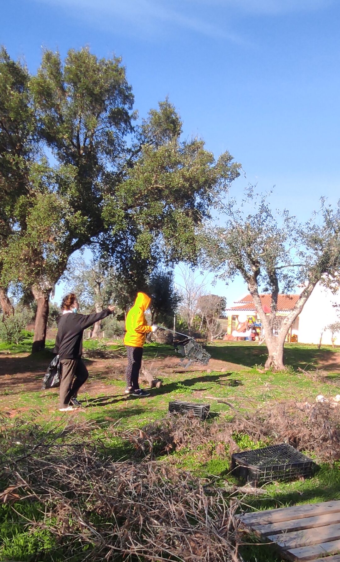Inspirando e compreendendo as maravilhas da Natureza no meio circundante à escola. Dentro aproveitando para limpar o lixo encontrado.