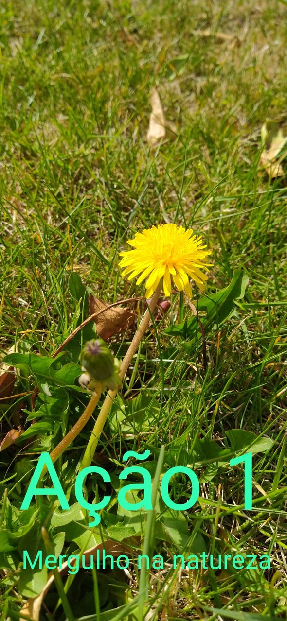 8- Martim Dias- 8ºC