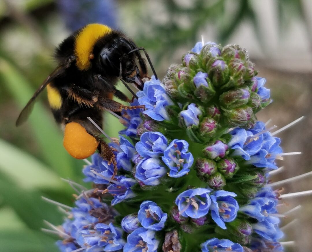 Mergulho na Natureza com a turma do 8.º C