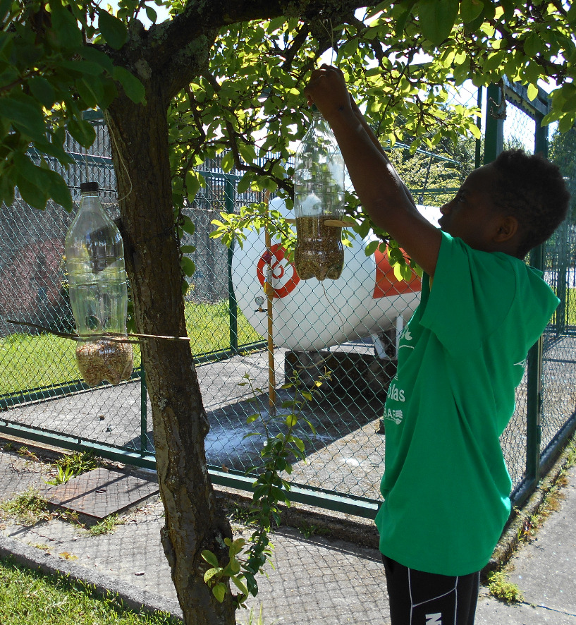Festa verde em Maximinos!
