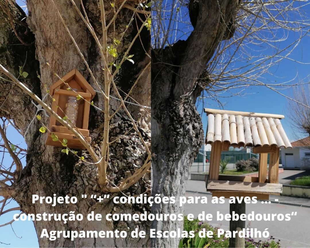 Construção de comedouros e de bebedouros