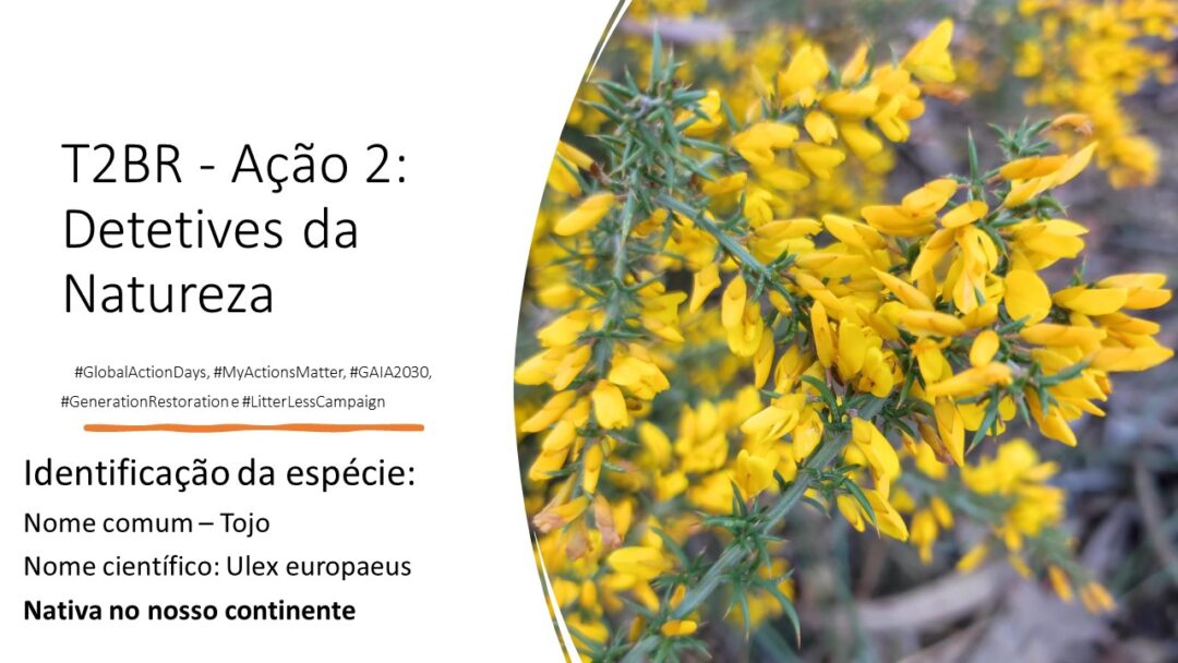 Detetives da Natureza