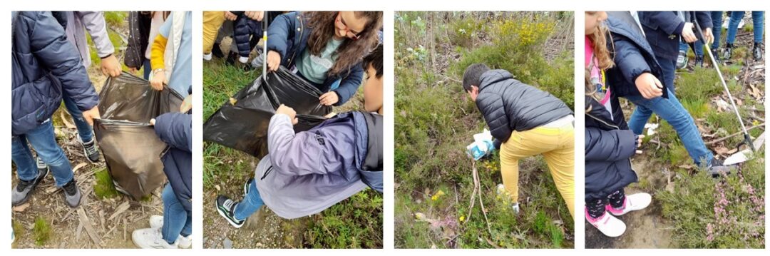 Caminhada com plogging