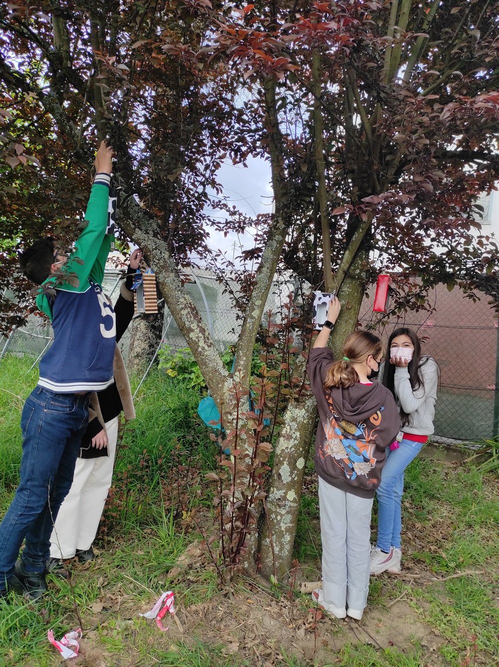Criação de comedouro de aves