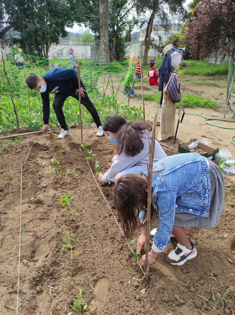 Workshop ” Plantações e Sementeiras”