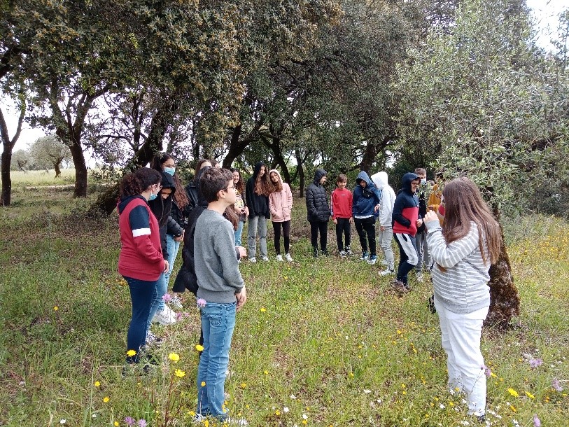 Voltinha ao campo na aula de Ciências Naturais